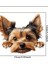 Yorkshire Terrier Eğlenceli, Yapışkanlı Araba, Laptop Sticker 5
