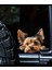 Yorkshire Terrier Eğlenceli, Yapışkanlı Araba, Laptop Sticker 6