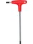 Izeltaş T Tipi Allen Anahtar 6 mm - 4920 22 0060 1