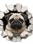 Pug Sevimli,eğlenceli Araba,laptop Sticker 3