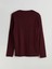 Lcwaıkıkı Classic Bisiklet Yaka Erkek Sweatshirt (W5) 1