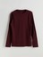 Lcwaıkıkı Classic Bisiklet Yaka Erkek Sweatshirt (W5) 2