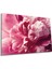 Pembe Şakayık Çiçeği Yatay Cam Tablo, Doğa, Ev ve Ofis Duvar Dekoru, Lüks Hediyelik 1