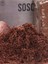Hindistan Cevizi TORFU%100 Doğal Torf - Cocopeat Hindistan Cevizi Lifi - Doğal Bitki Toprağı 1 Lt 2