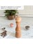 Glıos Natural Ahşap Tuz ve Karabiber El Değirmeni Öğütücü Grinder 22 cm 5