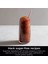 Slush ve Frozen Içecek Makinesi – 2,5l Kapasiteli, Milkshake & Frozen Juice Hazırlama, Sessiz Kompresörlü 10