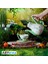 Abystyle - Dısney - Teapot - With Tinkerbell Cups Set - Çay Seti - ABYTAB077 4