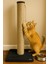 Drstag 51 cm Doğal Malzemeli Catnipli Kedi Tırmalama Tahtası 1