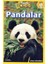 National Geographic Kids - Pandalar 1