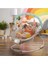 Winnie The Pooh Dots & Hunny Pots Sallanan Bebek Titreşimli Bebek Koltuğu, Müzik ve 3 2
