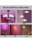 LED Renkli Ampul E27 Vida Ampul Lamba Karartma Gücü 5W (Yurt Dışından) 5