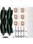 Irobot Roomba Için 2 Q0520 Essentium Vakum Süpürge Aksesuarları Silindir Yan Fırça Filtresi Paspas Ped Toz Torbası (Yurt Dışından) 2