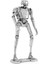 Yeni 3D Mini Üç Boyutlu Metal Karikatür Yapboz Dıy Montajlı Model Doğum Günü (Yurt Dışından) 1