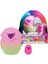 Rainbow Cation Hatchy Aile Evi 5