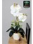 Dekoratif Mini Yapay Islak Orkide Beyaz 45 cm 1