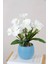 Yapay Islak Orkide 7li Tanzim Saksılı 35 cm Beyaz 1