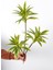 Yapay Bitki 3lü Dracaena Reflexa Dalı 75 cm Yeşil-Sarı 1