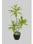 Yapay Ağac Dracena 3 Dallı Gerçek Dokulu 75 cm 1