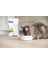 Adult Cat Salmon Neutered&entire 12 kg Yeni 3