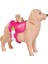 Bfs Evi Köpeği ve 3 Yavrusu SMB-105733072 2