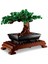 Bfs LEGO Icons Bonsai Ağacı 10281 2