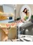 5 Metre Beyaz Işık Esnek Neon LED Şerit Dimmer Kumandalı Dekoratif Aydınlatma Seti SB-6537 5