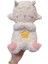 Koala Müzikli Işıklı Peluş Oyuncaklar Bebek Yatıştırıcı Oyuncaklar (Yurt Dışından) 1