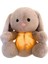 Koala Müzikli Işıklı Peluş Oyuncaklar Bebek Yatıştırıcı Oyuncaklar (Yurt Dışından) 1