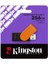 Kıngston 256GB Usb3.2 Dttrvexs DTXS/256GB 2
