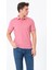 Erkek Basic Tişört Polo Yaka T-Shirt 2