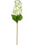 Ortanca Açık Yeşil 70 cm 1