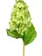 Yapay Ortanca Yeşil 70 cm 3