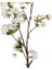 Yapay Çiçek Sakura Dalı Beyaz 95 Cm. 2
