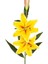 Yapay Çiçek Lilyum Sarı 90 Cm. 2