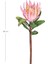 Yapay Protea Çiçeği Pembe 60 Cm. 2