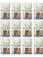 Sandwich Tavuk ve Balıklı Fileto Tahılsız Köpek Ödülü 80 Gr. x 12 Adet 1