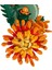 Nessiworld LEGO Icons Krizantem 10368 2