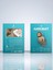 ® Yavru Aslan Kral Duvar Dekoru 3D Papercraft Maket 5