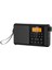 Dx-22 Kablosuz Taşınabilir Hoparlör (Dijital Ekranlı Radyo Özellikli) Telefon, Tv ve Bilgisayar Uyumlu Bluetooth Hoparlör, Taşınabilir Ses Sistemi 4