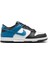 Dunk Low (Gs) Unisex Deri Sneaker Ayakkabı DH9765-104 4