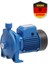 1.5 Hp - 1.0 Kw Alman Tasarımı Elektrikli Bahçe Pompası Su Pompası Cpm 158 1