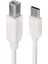 Powermaster Type-C USB B 1.5 Metre Yazıcı Kablosu PM-16018 1