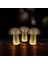 PT-429 Mini LED Masa Lambası 2