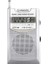 VS-R106 Analog Radyo Gri Renk 1