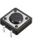 Powermaster IC-202 12X12X3.5 mm 4 Pinli Tact Switch Yuvarlak Buton 1