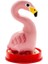 "Flamingo" El Boyaması Renkli Fantezi Prezervatif (Handpainted Condom Collection) 2