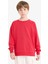 Erkek Çocuk Bisiklet Yaka Basic Düz Okul Sweatshirt E8415A825AU 3
