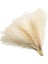 Kahverengi 55 cm 10PCS 5/10/20PCS 55 cm Yapay Pampas Çim Görkemli Çim Vazo Dolgu Çiçek Ev, Oturma Odası, Mutfak, Parti, Boho Dekor Için (Yurt Dışından) 3