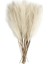 6 Adet Yapay Pampas Çim Dekor Çiçekler Dıy Çiçek Masa Düzenlemek Ki Kamış Çiçek Düğün Ev Noel Dekorasyon Bej / Boyut6 Adet Paket (Yurt Dışından) 1