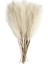 6 Adet Yapay Pampas Çim Dekor Çiçekler Dıy Çiçek Masa Düzenlemek Ki Kamış Çiçek Düğün Ev Noel Dekorasyon Bej / Boyut6 Adet Paket (Yurt Dışından) 1
